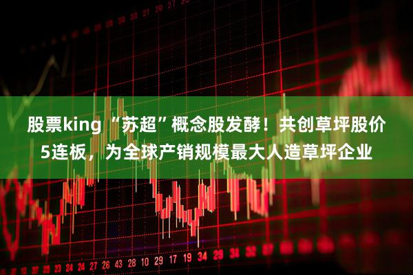 股票king “苏超”概念股发酵！共创草坪股价5连板，为全球产销规模最大人造草坪企业