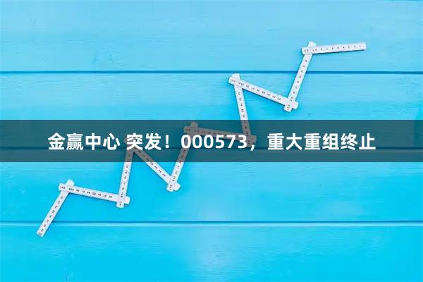 金赢中心 突发！000573，重大重组终止