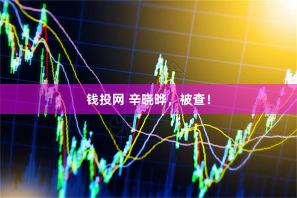 钱投网 辛晓晔，被查！