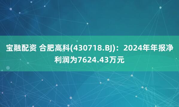 宝融配资 合肥高科(430718.BJ)：2024年年报净利润为7624.43万元