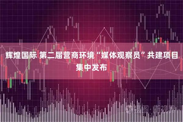 辉煌国际 第二届营商环境“媒体观察员”共建项目集中发布