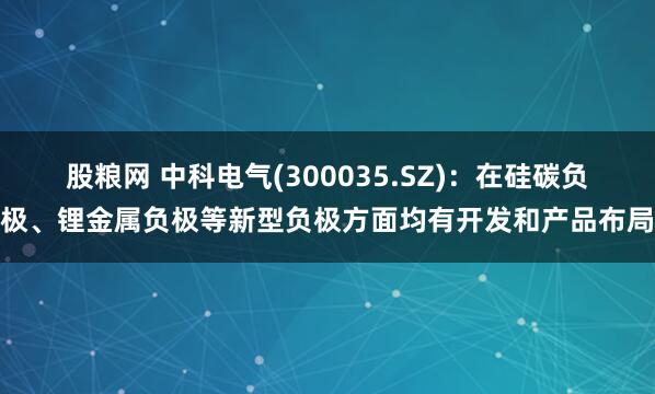 股粮网 中科电气(300035.SZ)：在硅碳负极、锂金属负极等新型负极方面均有开发和产品布局